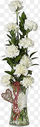 白色纯洁花朵盆栽