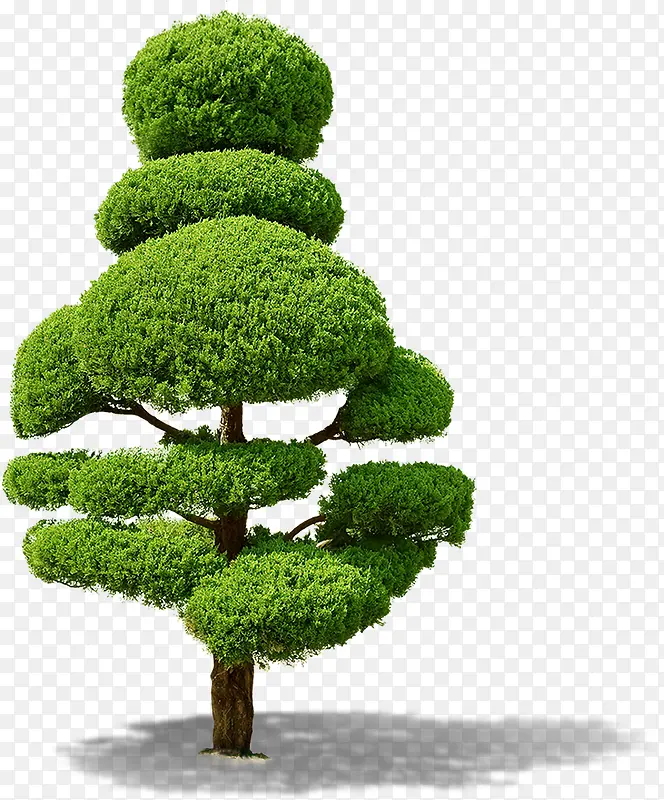 绿树创意组合景观