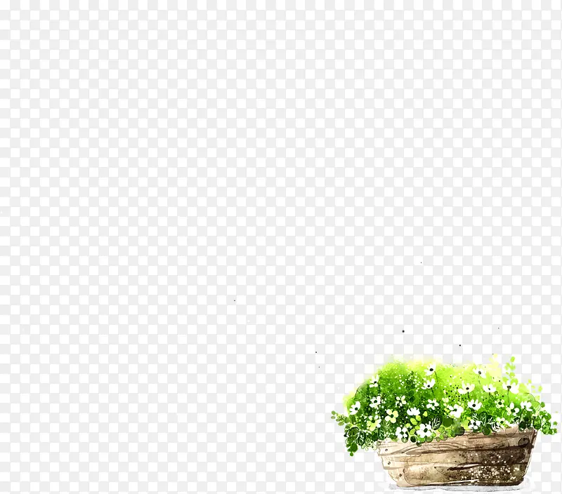 绿色植物盆栽白色小花