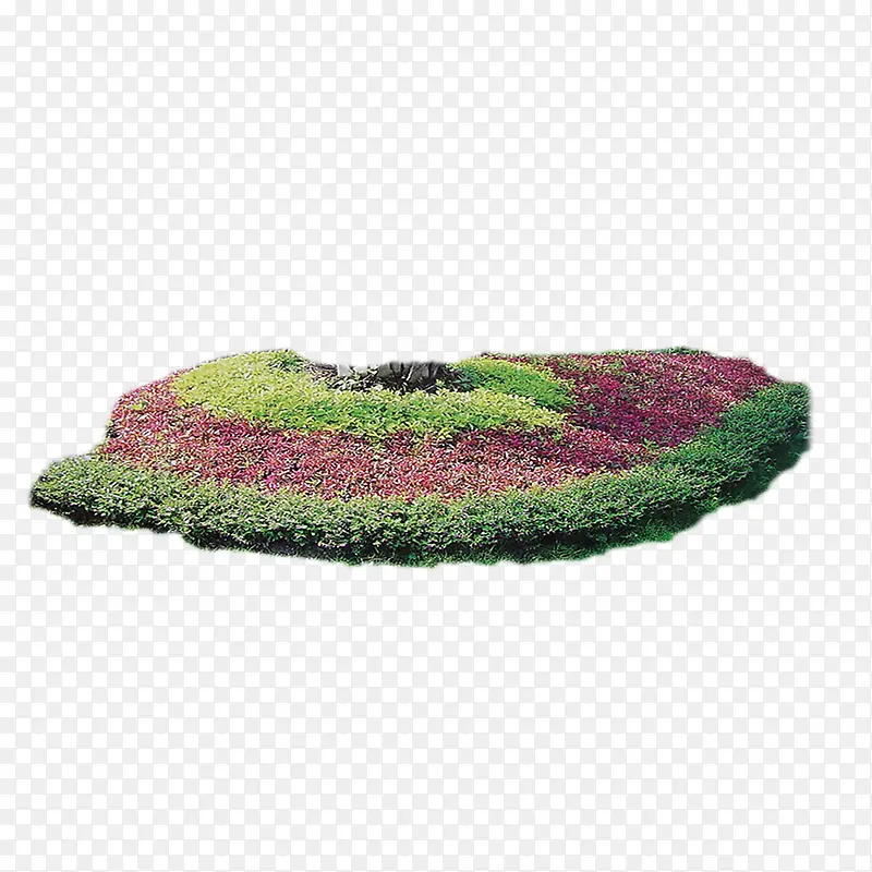 绿色植物