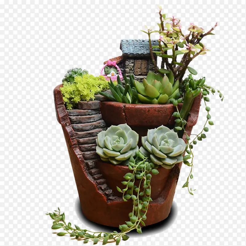 创意花盆植物