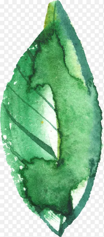 鲜花花卉