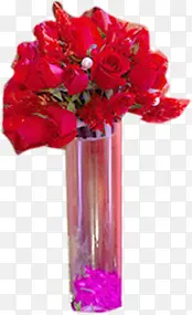 红色玫瑰花高清摄影盆栽