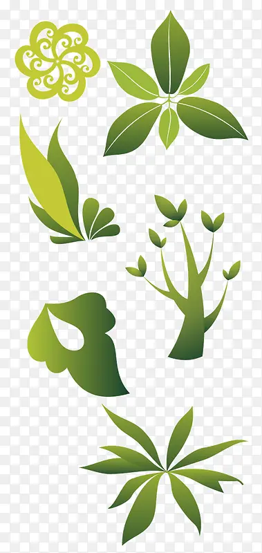 绿色植物