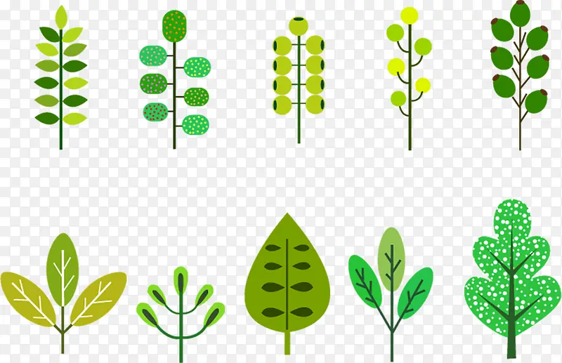 绿色植物插画