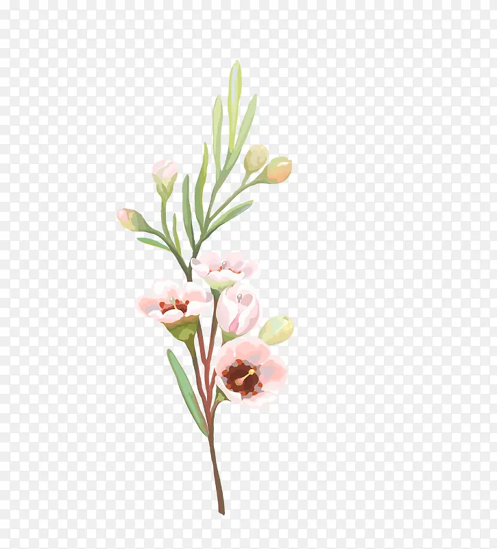 小清新唯美水彩花卉花朵素材