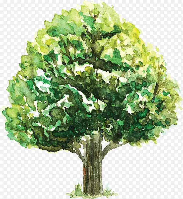 创意卡通树木手绘植物