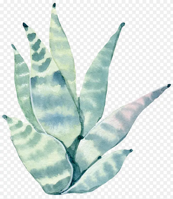 手绘水彩绿色植物