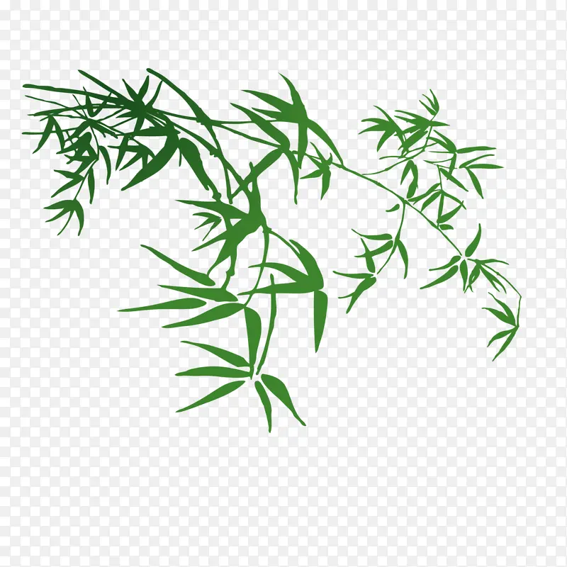 绿色竹子叶子
