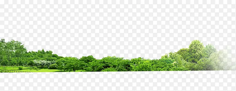 绿色植物PNG图片素材下载_图片编号yxjzpknn-免抠素材网