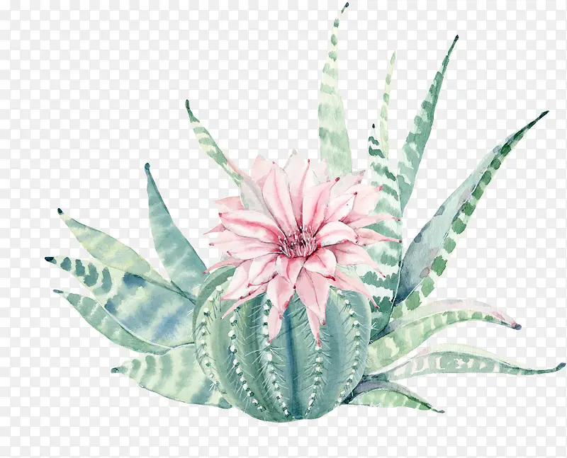 手绘水彩粉色花朵绿色植物