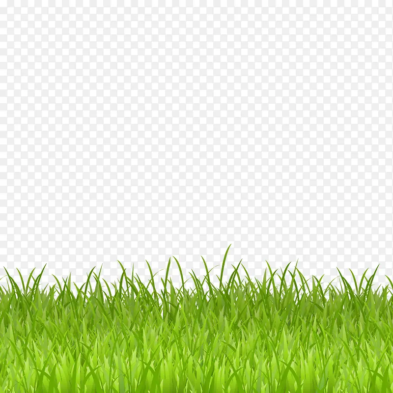 绿色草丛