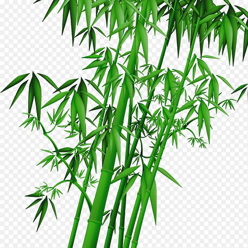 卡通绿色竹叶竹子