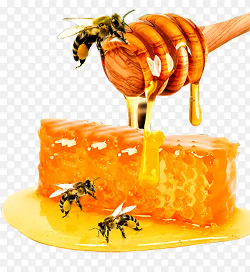 蜜蜂搅蜜棒