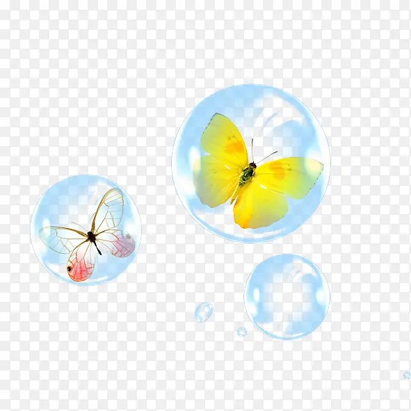 泡泡 蝴蝶