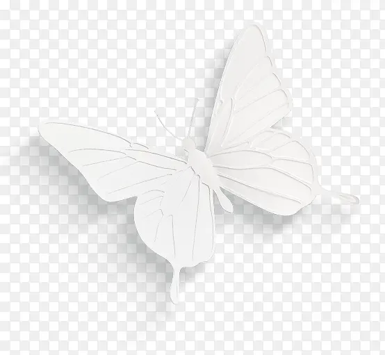 白色简约蝴蝶装饰图案