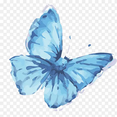 手绘的蓝蝴蝶