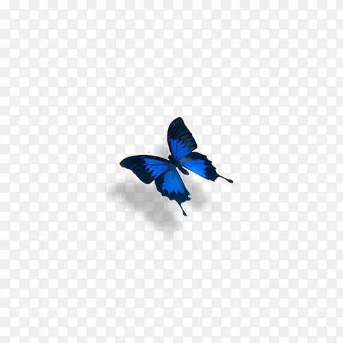 蝴蝶