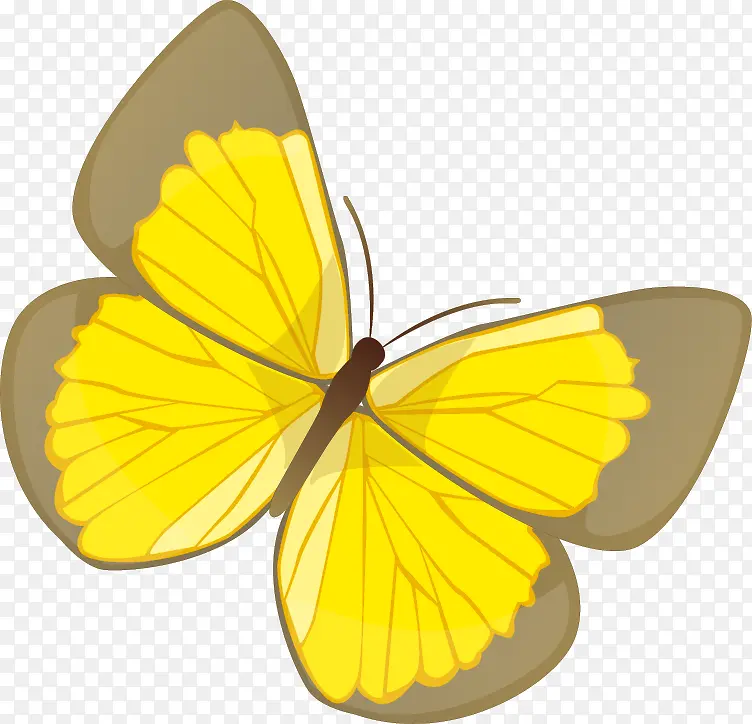 黄色蝴蝶png矢量素材