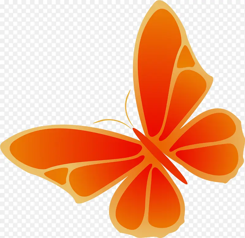 橙色卡通蝴蝶