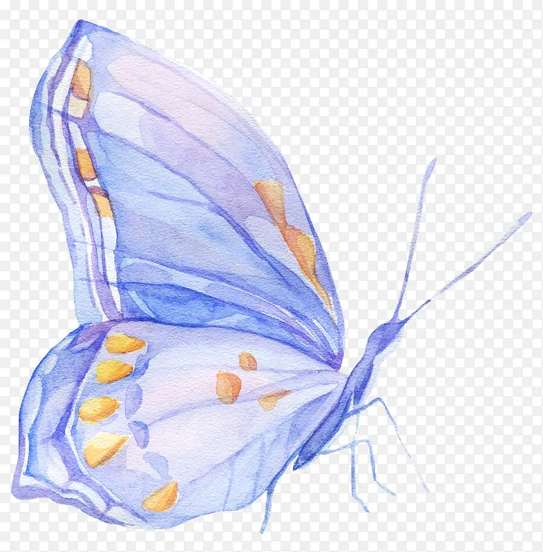 手绘水彩彩色蝴蝶