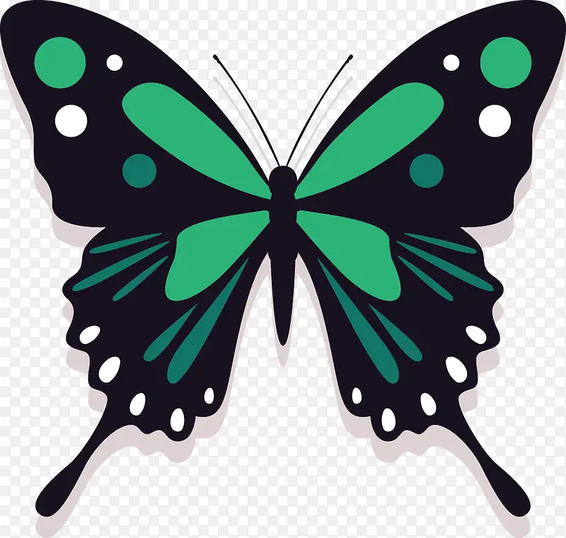 绿色花纹蝴蝶