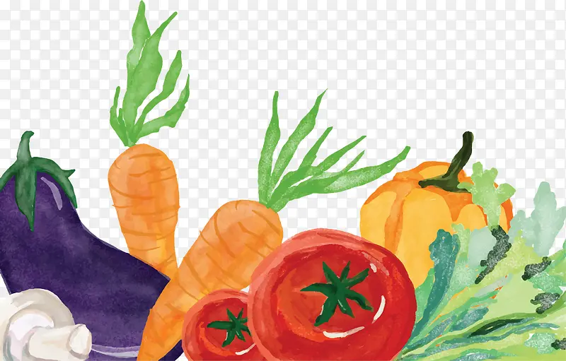 水彩手绘彩色蔬菜