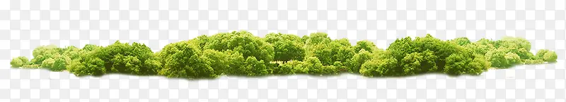 树木