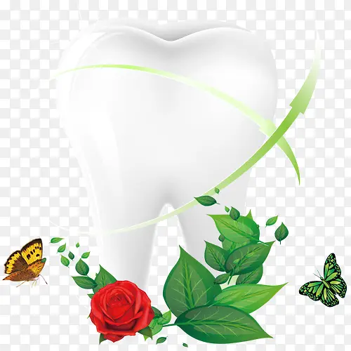 牙齿健康与绿叶