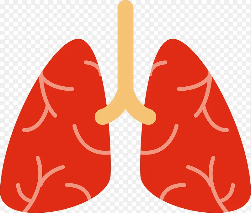 人体肺片