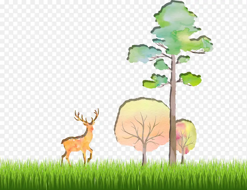 绿色草地