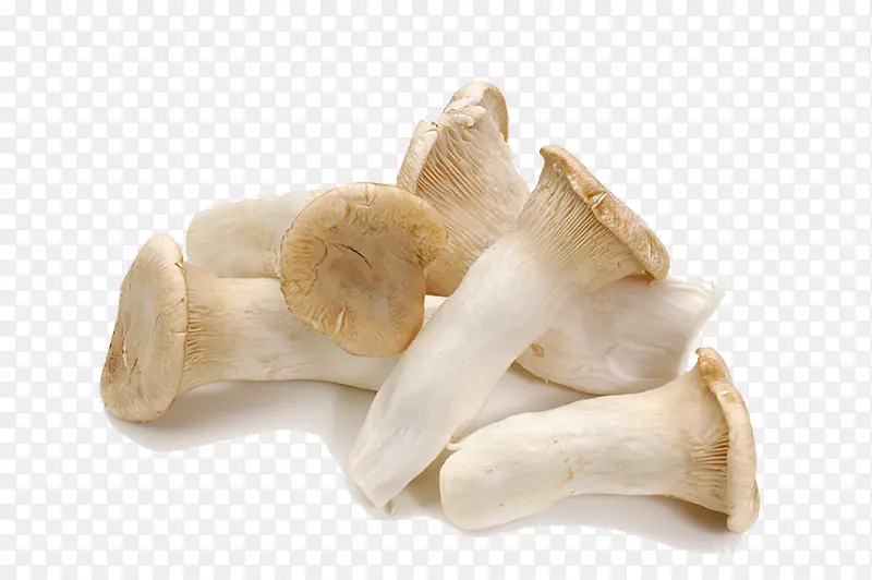 新鲜的健康食品菌菇