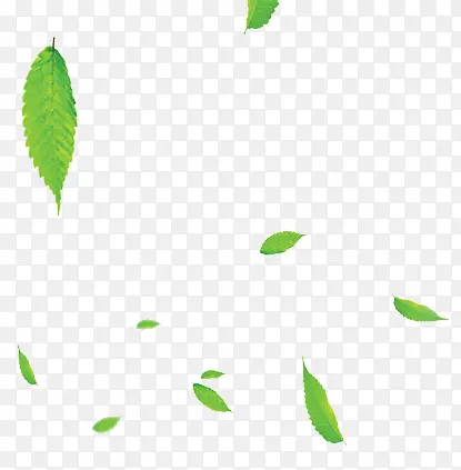 绿色树叶装饰图