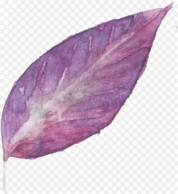 紫色树叶水彩