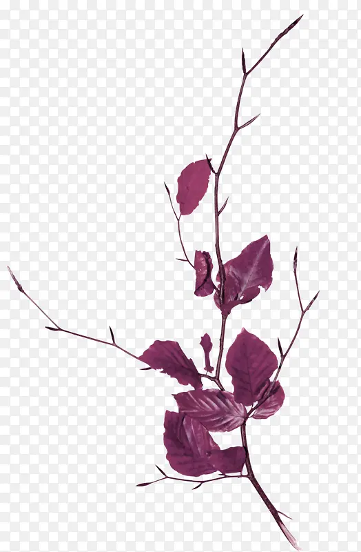紫色树叶树枝装饰图案