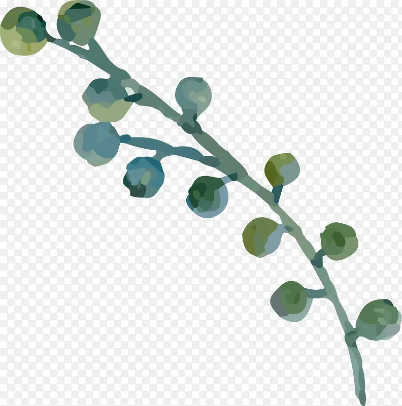 水彩植物树叶