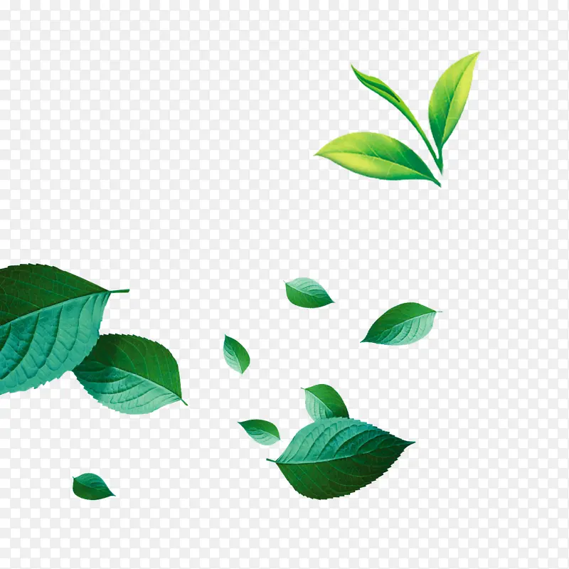 绿色树叶装饰图
