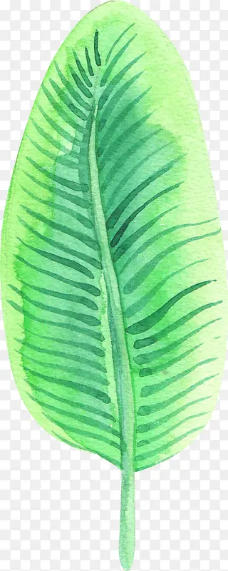 手绘水彩树叶