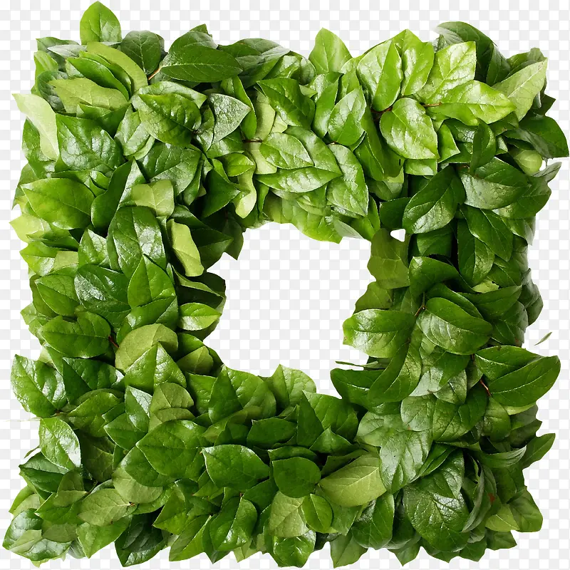 植物素材
