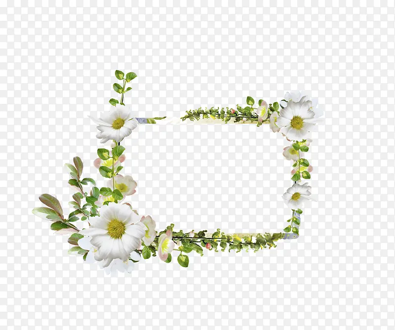 美丽花框