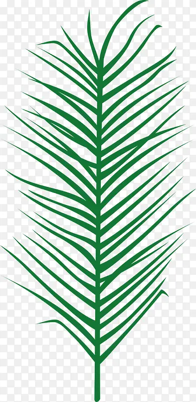 绿色热带植物叶子图