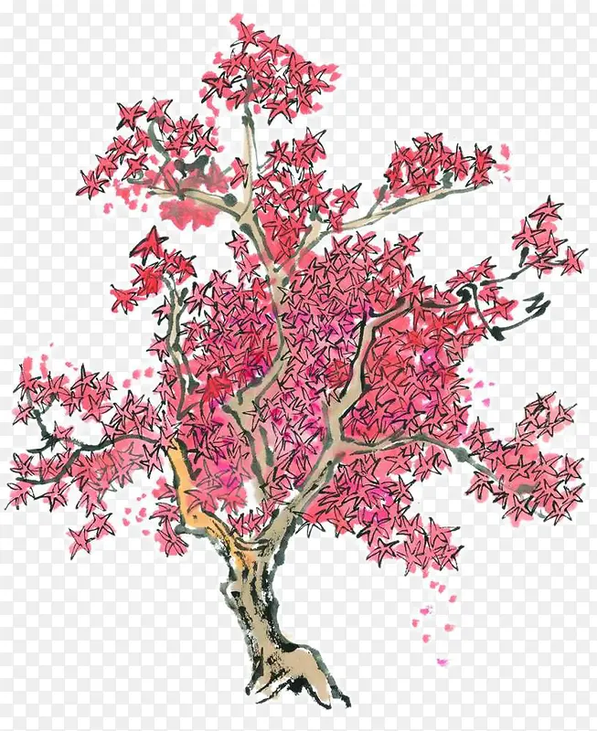 红枫树木手绘