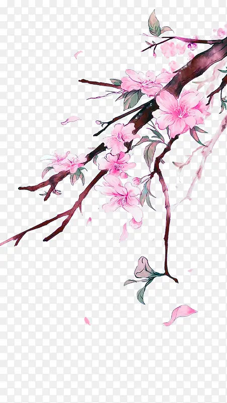 粉色中国风花枝装饰图案