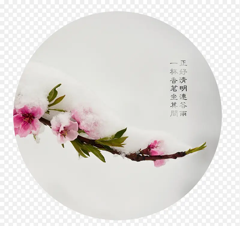 清新中国风粉色花枝谷雨节日