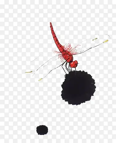 卡通中国风蜻蜓
