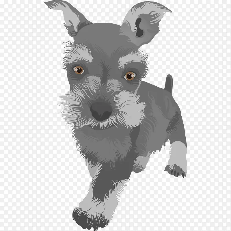 卡通可爱动物海报设计装饰手绘狗