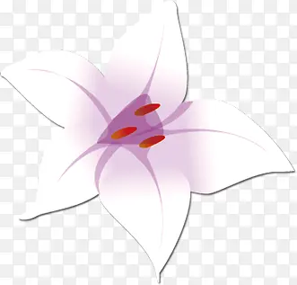 白色花朵剪纸效果设计