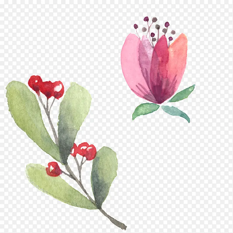 手绘水彩花卉装饰图案