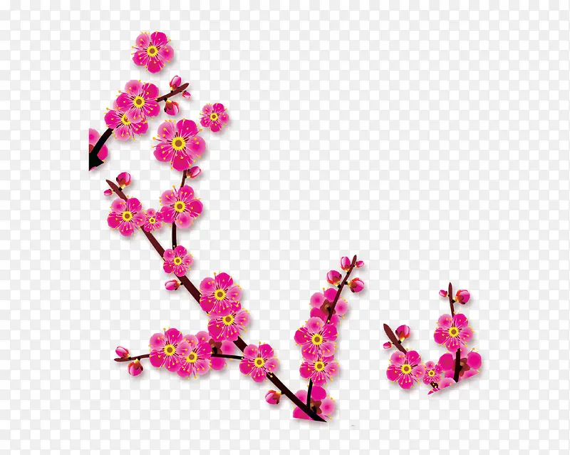 粉色梅花