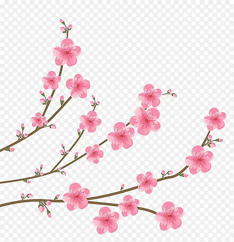 梅花